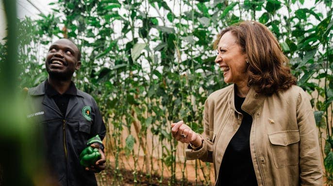 Lupiya hosts US Vice President, Harris, as agro startup raises over $5 million in funding