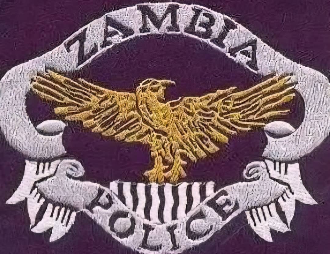 Zambia police warn against AI-generated fake content targeting ...
