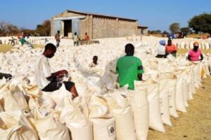 Agro-dealers urged to maintain adequate FISP input stocks