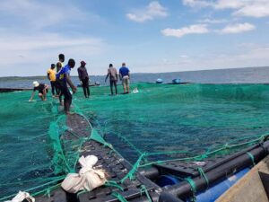 Luapula moves to revive fish farming